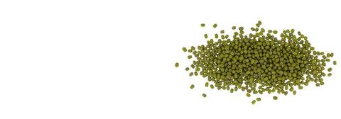 bulk mung beans